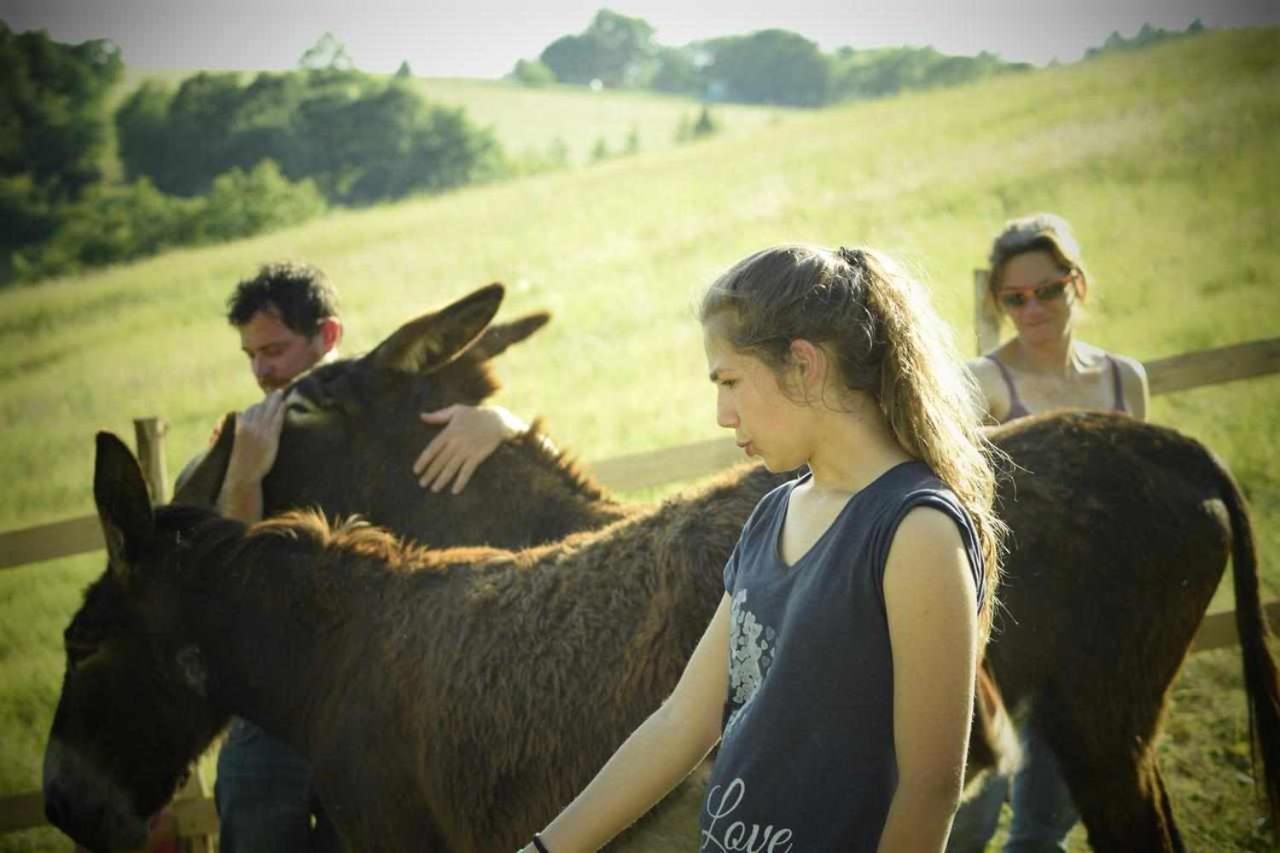 グッビオ Agriturismo Montesalceヴィラ エクステリア 写真