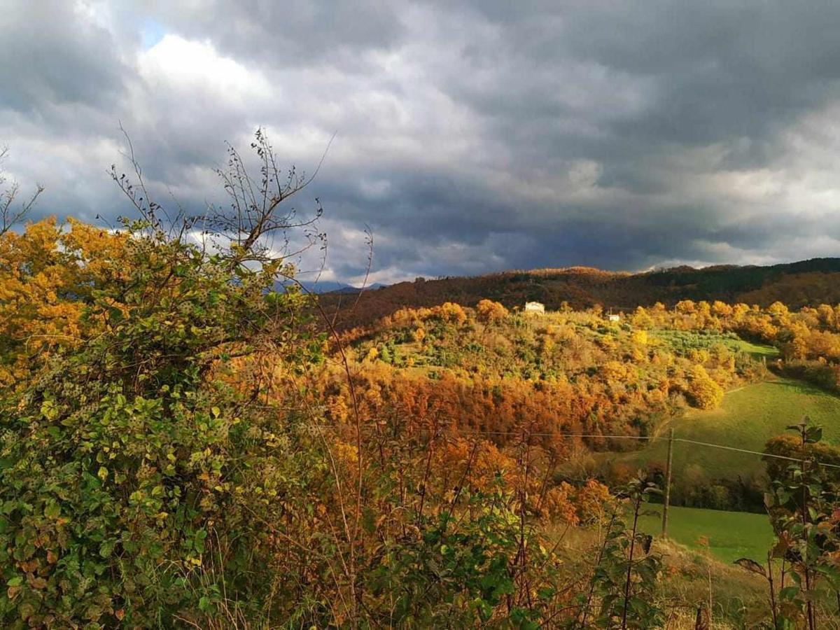 グッビオ Agriturismo Montesalceヴィラ エクステリア 写真