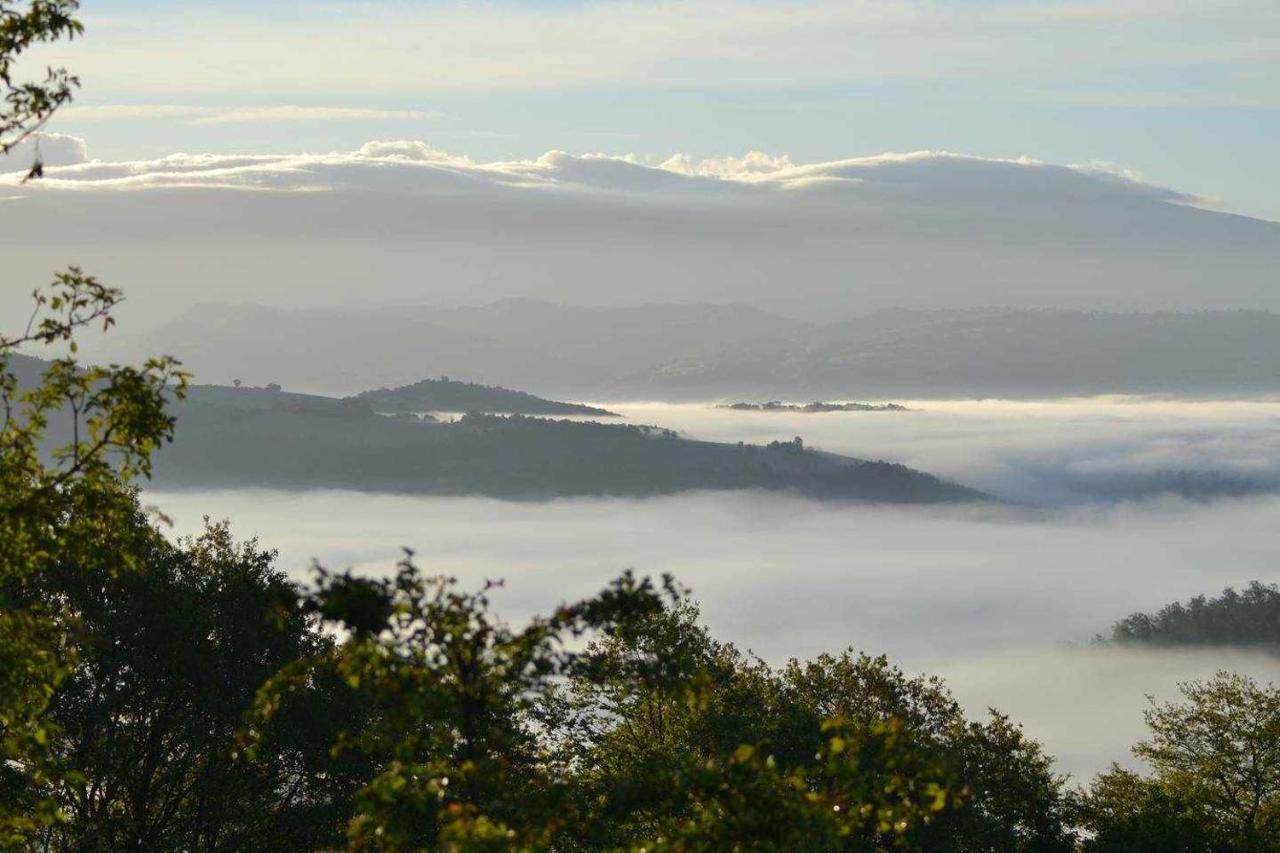 グッビオ Agriturismo Montesalceヴィラ エクステリア 写真