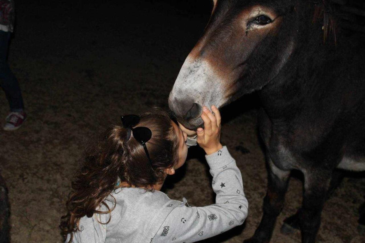 グッビオ Agriturismo Montesalceヴィラ エクステリア 写真